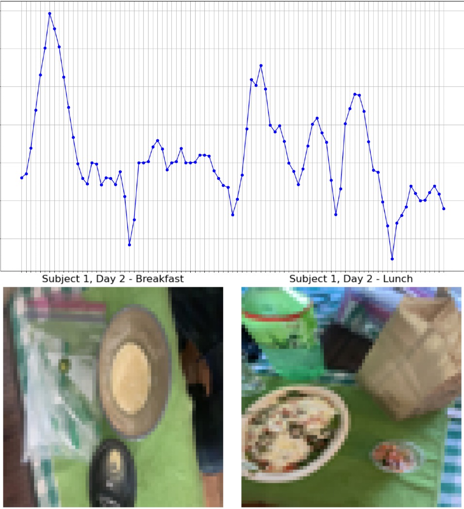 Meal Nutrition Analysis